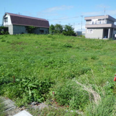 外観：土地番号３０「遠浅」