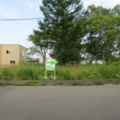 外観：追分白樺１丁目売り土地