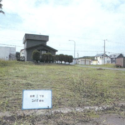 外観：土地番号【118】