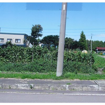 外観：土地番号【133】