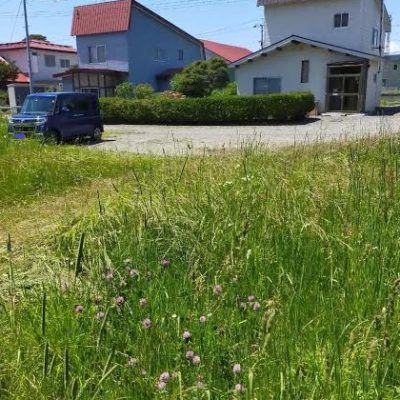 外観：土地番号【４】