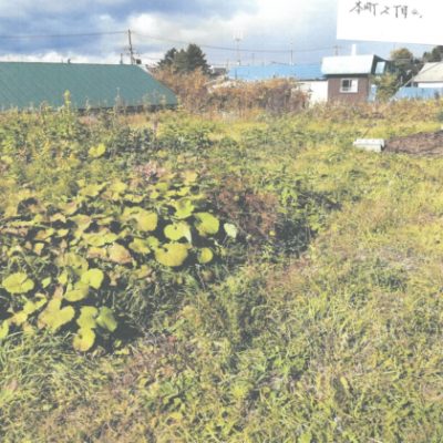 外観：土地番号【162】