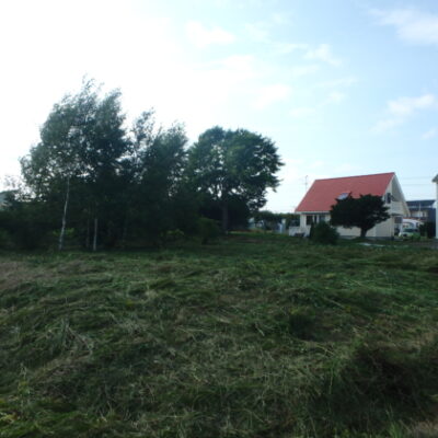 外観：建築条件無し！240坪！南東角！安平65，67